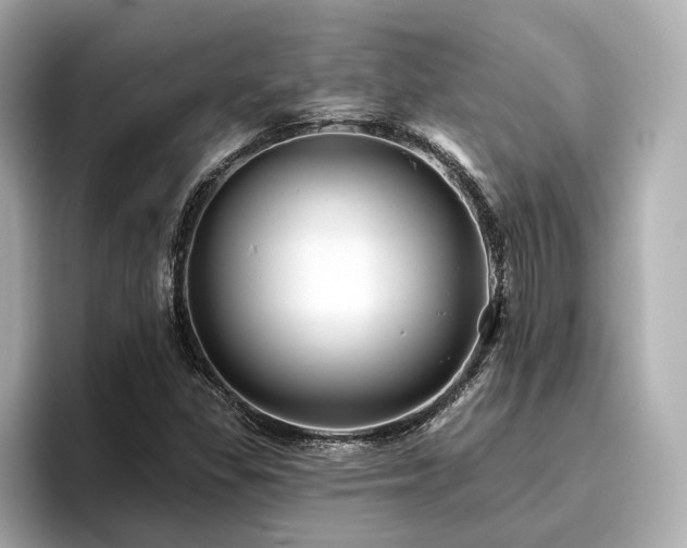 X0000096451309200801241410