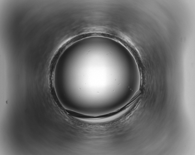 X0000096451312200801241410