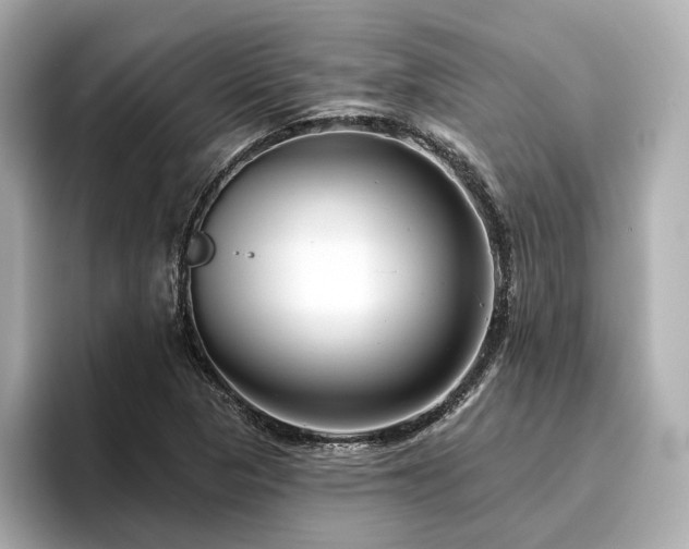 X0000096451313200801241410