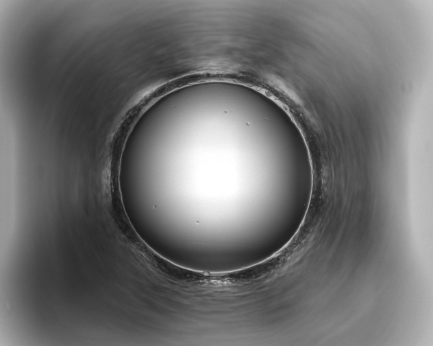 X0000096451315200801241411