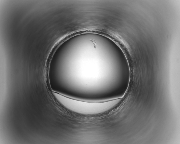 X0000096451316200801241411