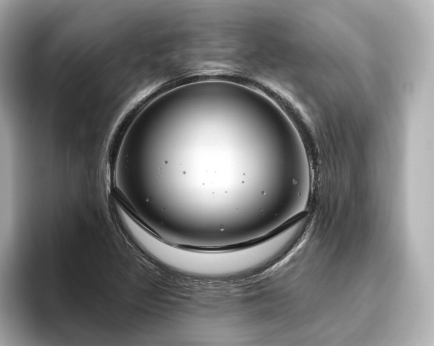 X0000096451317200801241411