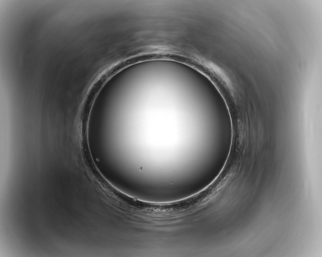 X0000096451318200801241411