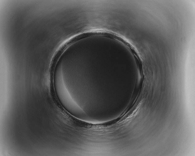 X0000096451319200801241411