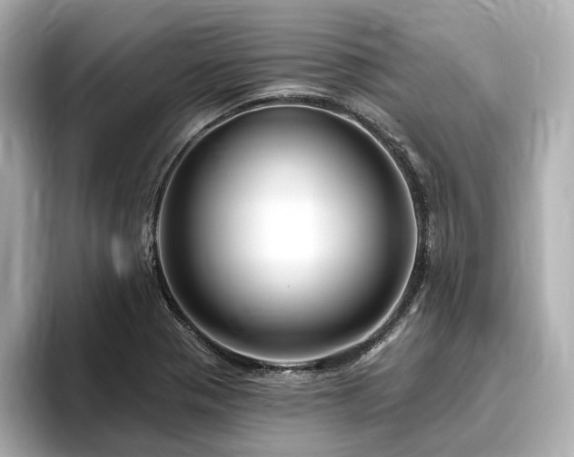 X0000096451321200801241411