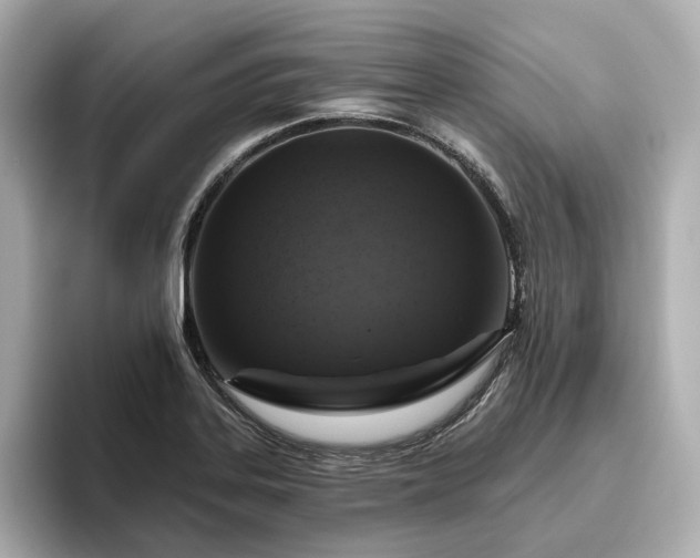 X0000096451323200801241411
