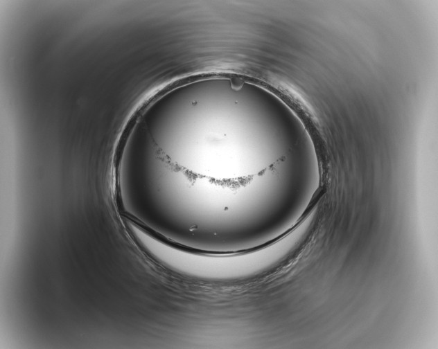 X0000096451324200801241411