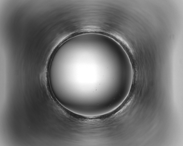 X0000096451325200801241411