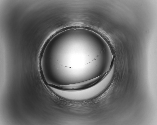 X0000096451326200801241411