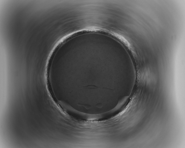 X0000096451327200801241411