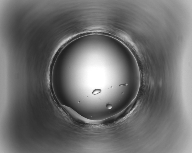 X0000096451328200801241411