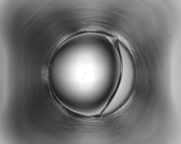 X0000096451329200801241411