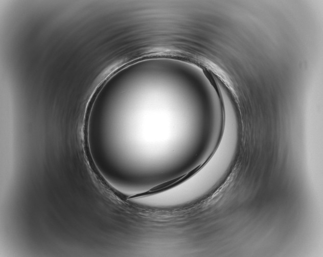X0000096451330200801241411