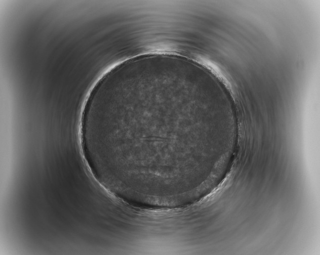 X0000096451331200801241411