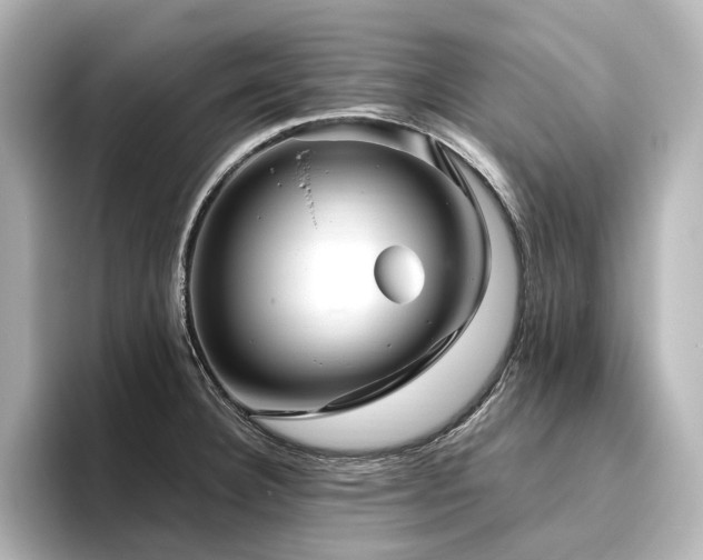 X0000096451332200801241411