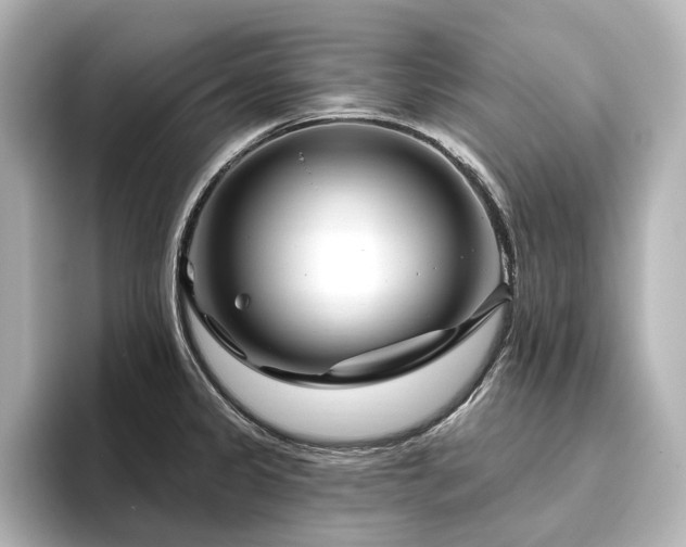 X0000096451333200801241411