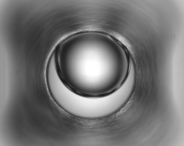 X0000096451334200801241411