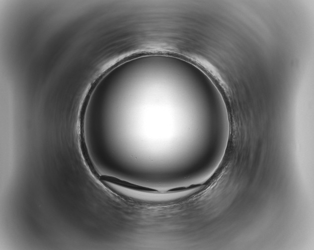 X0000096451335200801241411