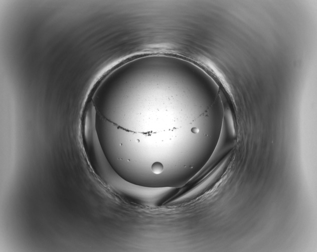 X0000096451336200801241411