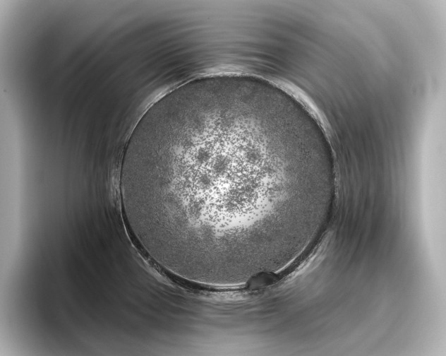 X0000096451337200801241411