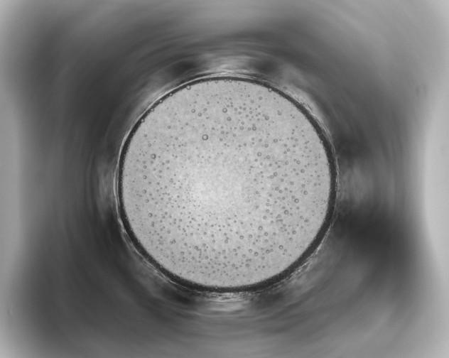 X0000096451338200801241411