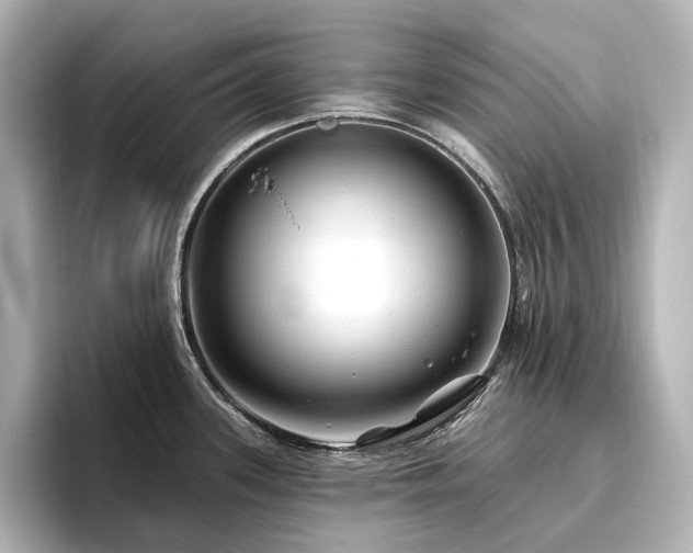 X0000096451339200801241411