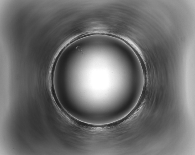 X0000096451341200801241411