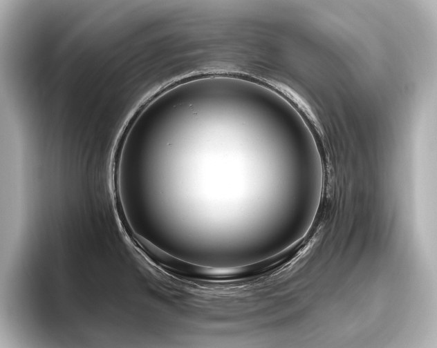 X0000096451342200801241411
