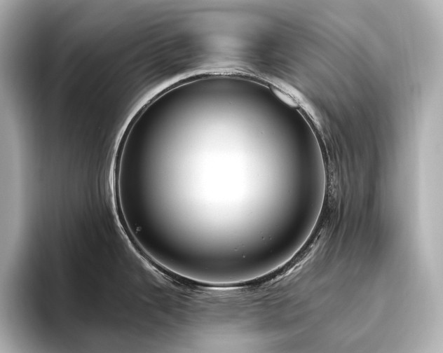 X0000096451343200801241411