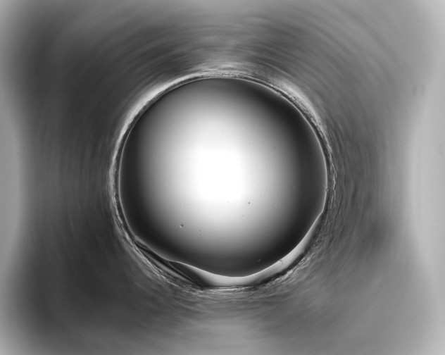 X0000096451344200801241411