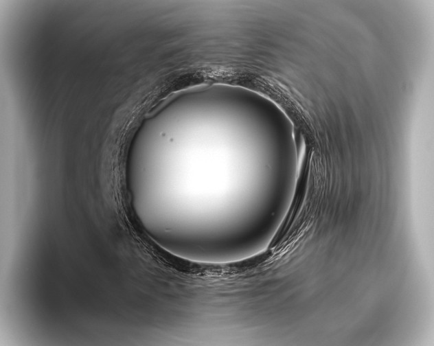 X0000096451345200801241410