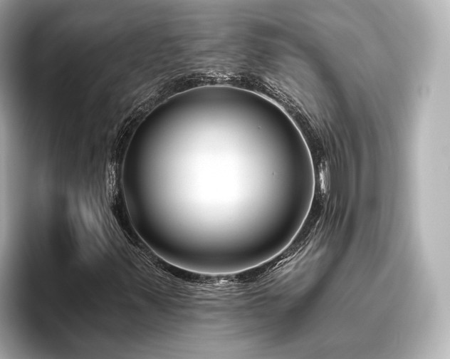 X0000096451347200801241410