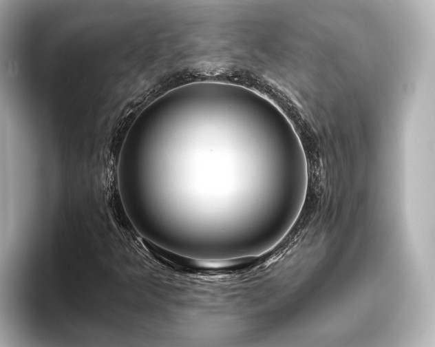 X0000096451349200801241410