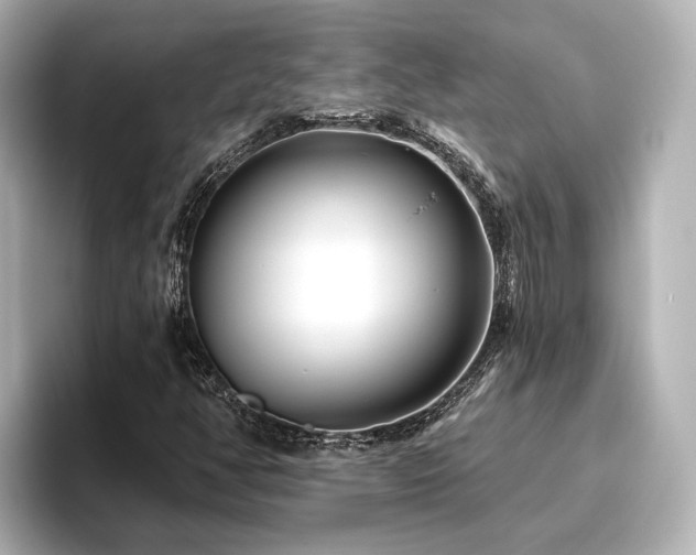 X0000096451350200801241410