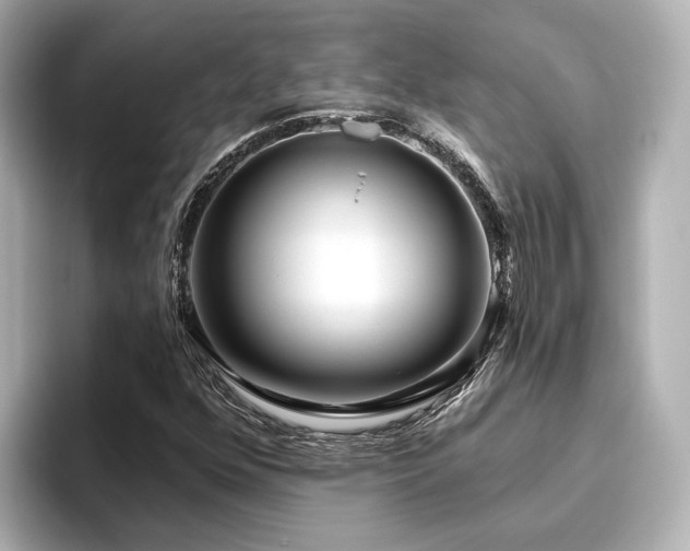 X0000096451352200801241410