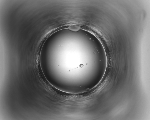 X0000096451355200801241410