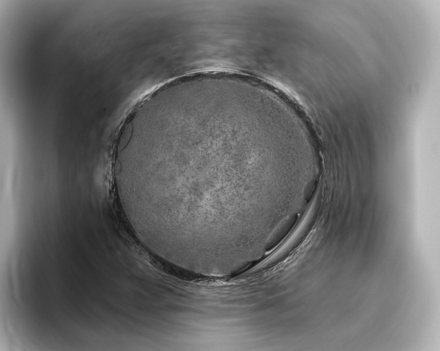 X0000096451359200801241410