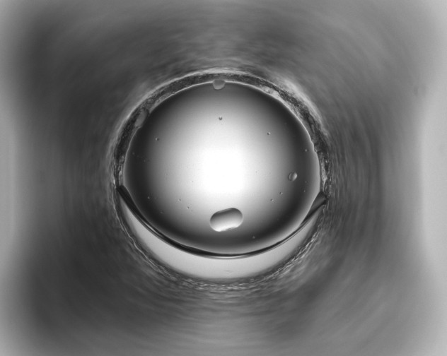 X0000096451360200801241410