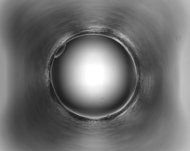 X0000096451362200801241410