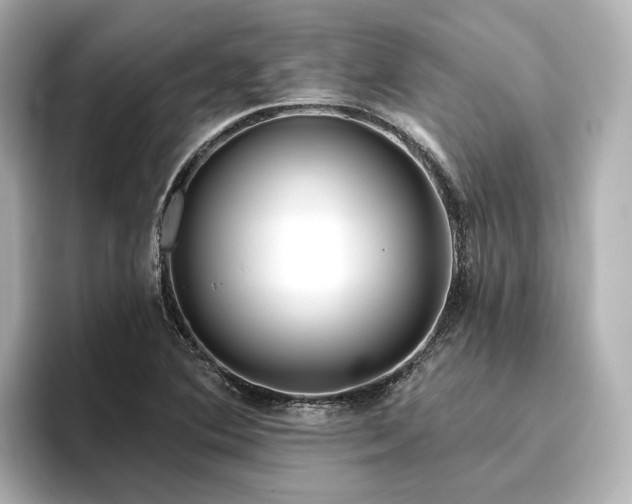 X0000096451364200801241410