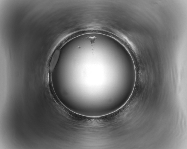 X0000096451368200801241410