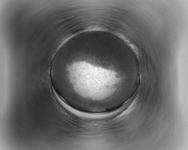 X0000096451369200801241410
