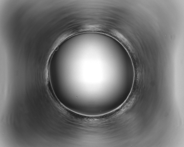 X0000096451370200801241410