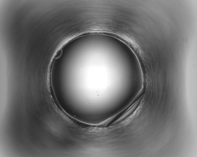 X0000096451374200801241410