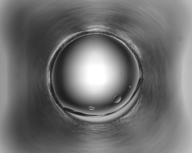 X0000096451376200801241410
