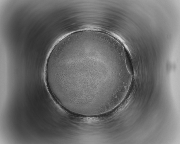 X0000096451379200801241410
