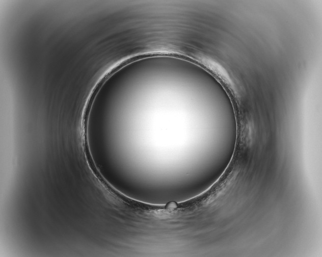 X0000096451380200801241410