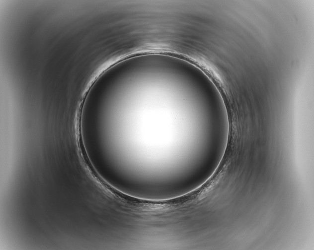 X0000096451382200801241410