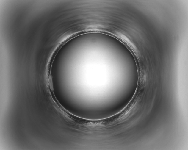 X0000096451384200801241410