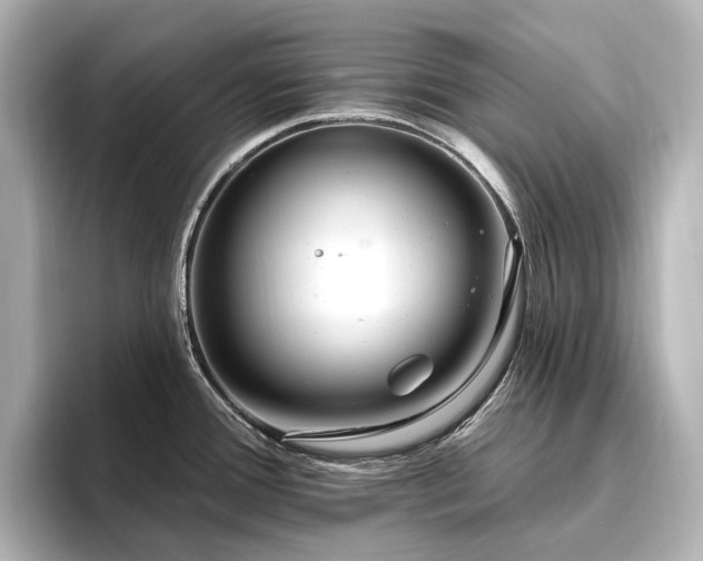 X0000096451388200801241410